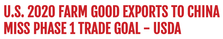 黄金外汇平台解读我们何时才有自己的外汇平台？国外库存费太高吗？